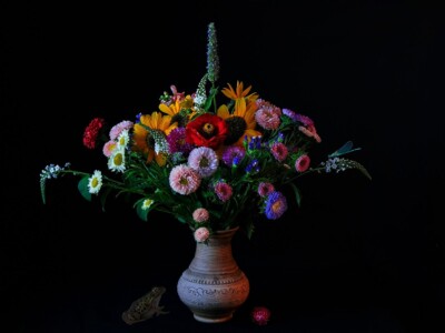 Bauern Straus - Tamara Weitze